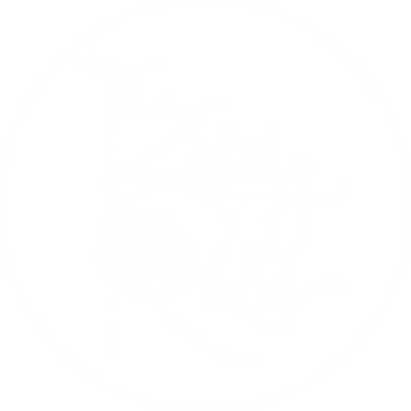 The Katchy Rose